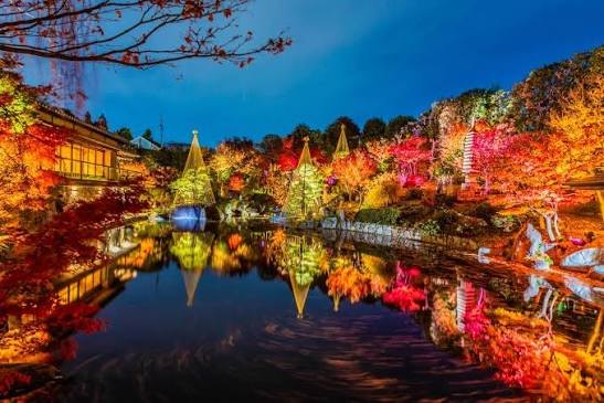 De verlichte herfsttuin van Rikugien bij avond, weerspiegeld in de vijver