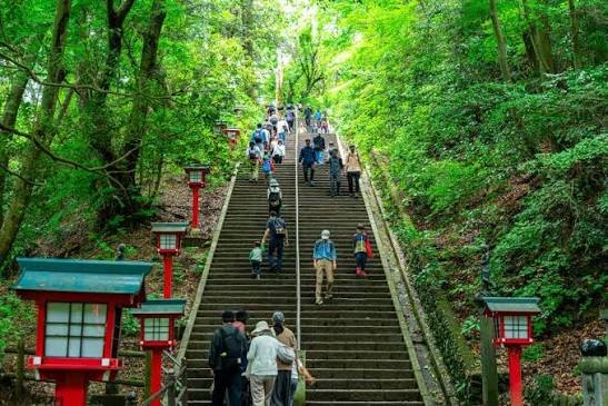 De steile stenen trap naar Yakuoin op de Takao berg, tussen hoge bomen