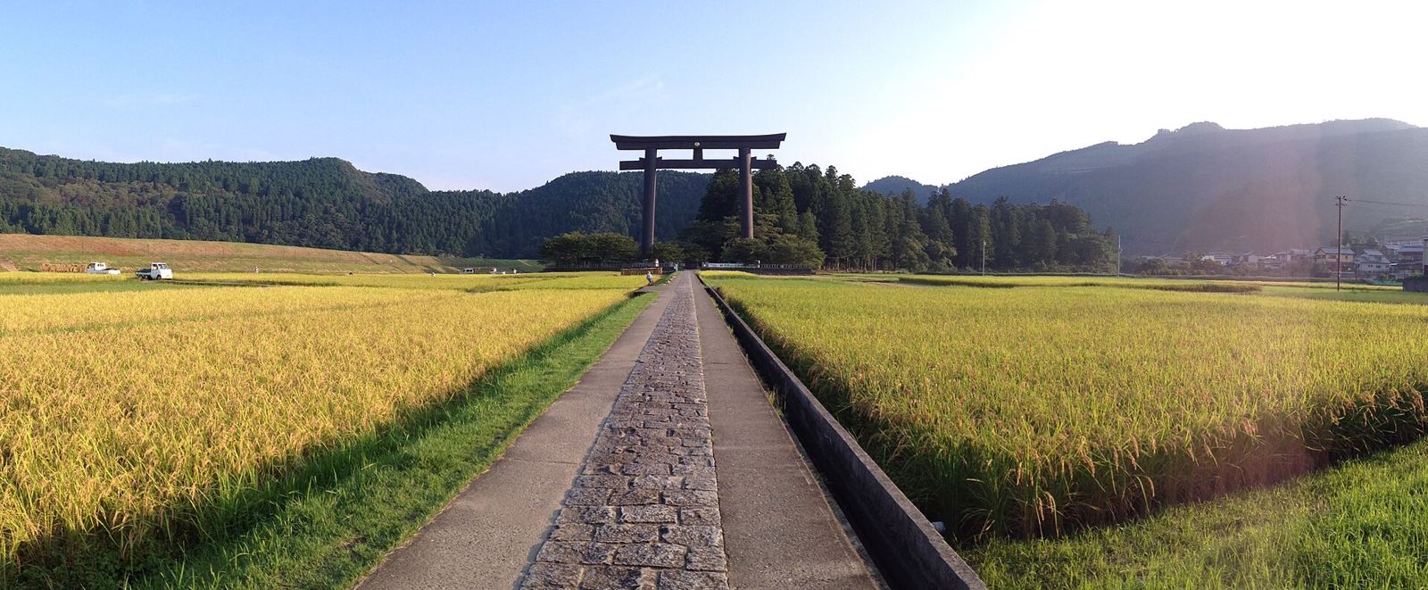De grote torii poort van Oyunohara tussen de rijstvelden